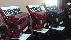 Музыкальные инструменты передали в школу искусств Левокумского округа