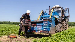 На Ставрополье стартовал приём заявок на грант «Агростартап»