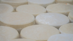 Объём экспорта молочной продукции вдвое нарастили на Ставрополье