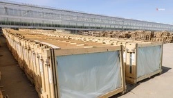 Инвестпроект по строительству тепличного комплекса реализуют в Левокумском округе