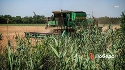 Ставрополье стало лучшим регионом России по качеству защиты урожая