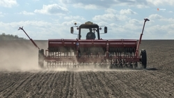 Озимые заняли 1,4 млн га ставропольских полей