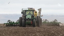 Семь семейных ферм Ставрополья получили грантовую поддержку