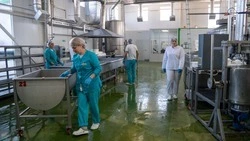 Бережливые технологии помогают ставропольским производителям увеличить выручку