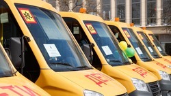 Губернатор Владимиров поручил решить вопрос со школьными автобусами в Левокумском округе