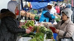 В Ставропольском крае вырастет количество продуктовых мини-рынков