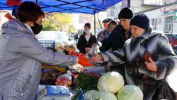 На Ставрополье развернули более 40 продовольственных мини-рынков