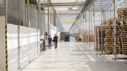 Строительство агрокомплекса завершают на востоке Ставрополья