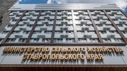 Масложировую продукцию Ставрополья экспортируют в 26 стран мира по нацпроекту 