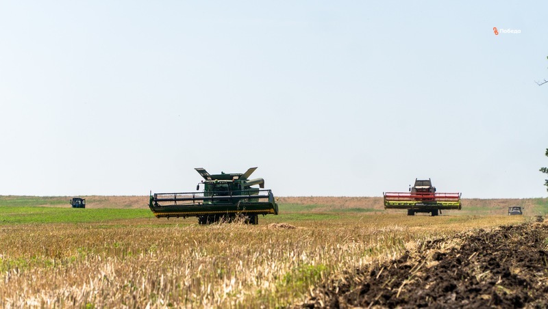 Левокумский округ лидирует в темпах уборки зерновых культур