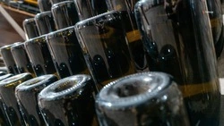 На Ставрополье на развитие виноделия направили свыше 218 миллионов рублей