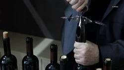 Алкоголь ослабляет защитные силы организма — минздрав Ставрополья