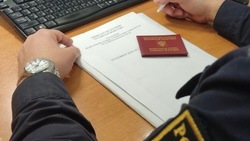 Жительница Левокумского округа задолжала своим четырём детям 235 тысяч рублей алиментов