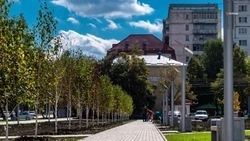 Около 340 миллионов рублей планируют выделить на проекты благоустройства на Ставрополье 